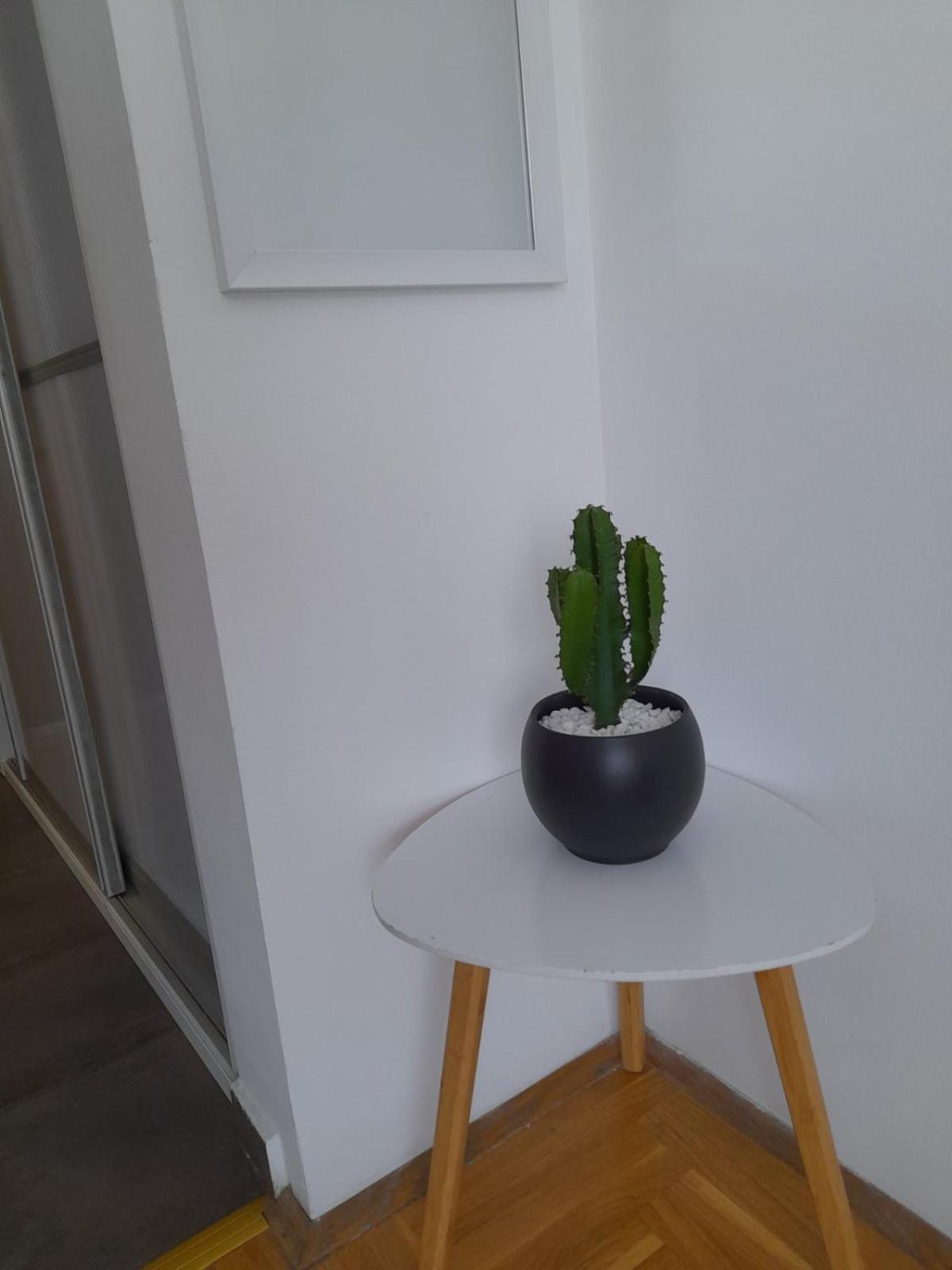 Nikola Ns Apartment โนวีซาด ภายนอก รูปภาพ